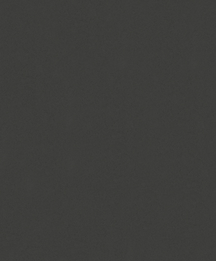 Marburger Tapete 32733 10,05 x 0,53 m Schöner Wohnen New Spirit 2024